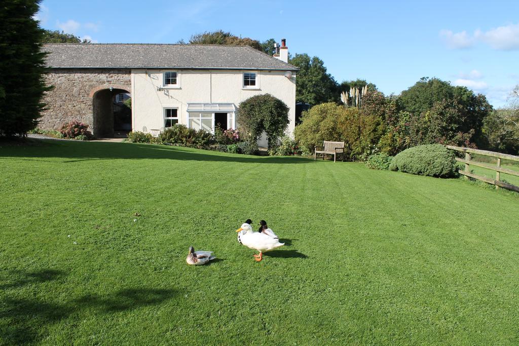 Rectory Farm Bed & Breakfast ฮาเวอร์ฟอร์ดเวสต์ ภายนอก รูปภาพ