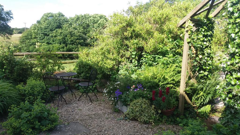 Rectory Farm Bed & Breakfast ฮาเวอร์ฟอร์ดเวสต์ ภายนอก รูปภาพ