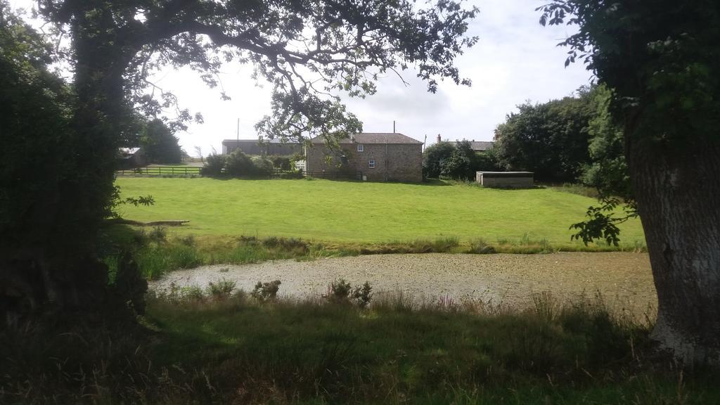 Rectory Farm Bed & Breakfast ฮาเวอร์ฟอร์ดเวสต์ ภายนอก รูปภาพ