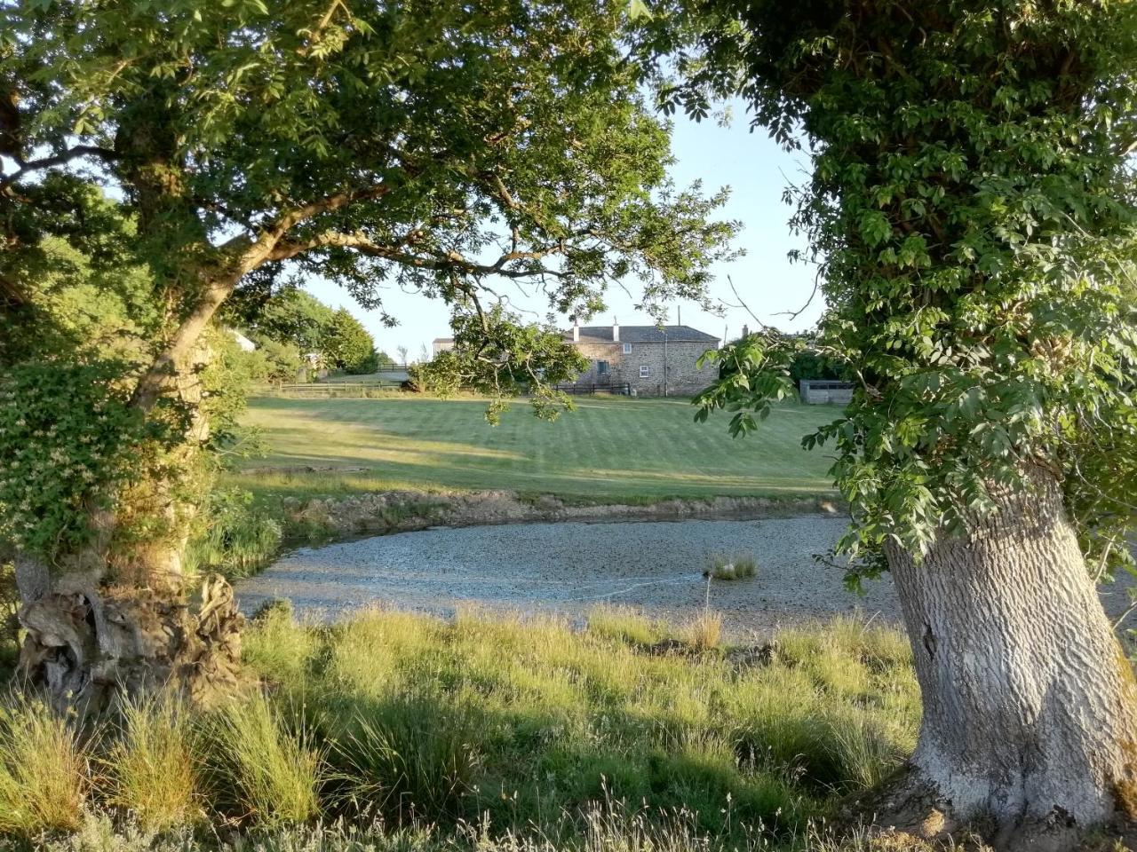 Rectory Farm Bed & Breakfast ฮาเวอร์ฟอร์ดเวสต์ ภายนอก รูปภาพ